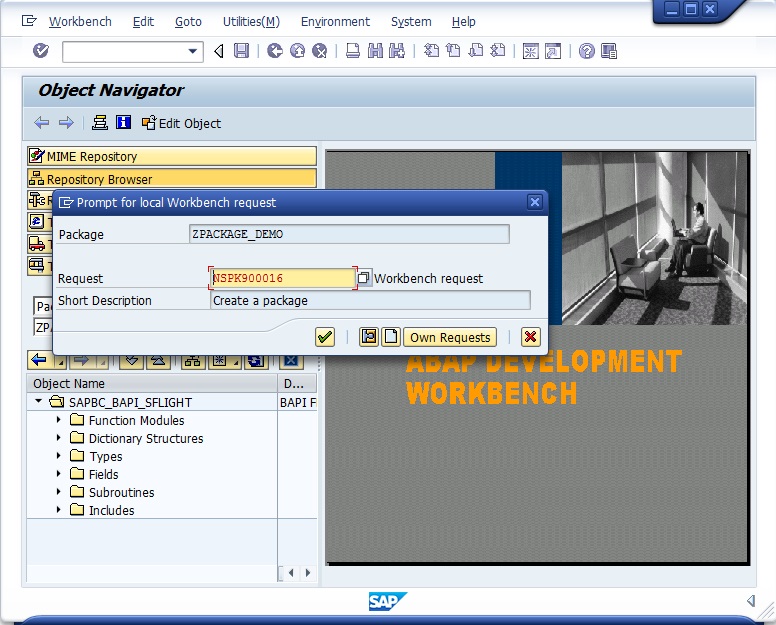 SAP Creating a package 3